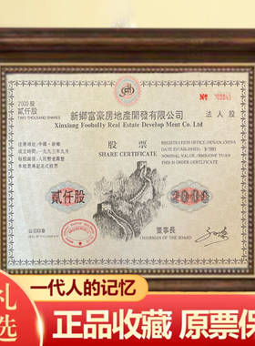 精美大票幅新乡富豪房地产开发股票法人股 金融票收藏钱币怀旧