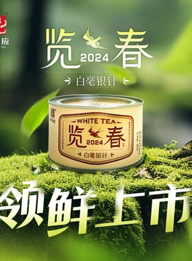 林飞应福鼎白茶 览春系列2024年白毫银针特级 罐装30克散茶