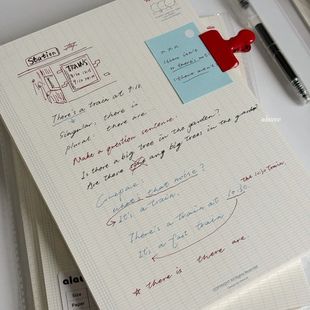 简约法文格B5英语单词本小红书同款清新笔记本学生考研计划拍纸本