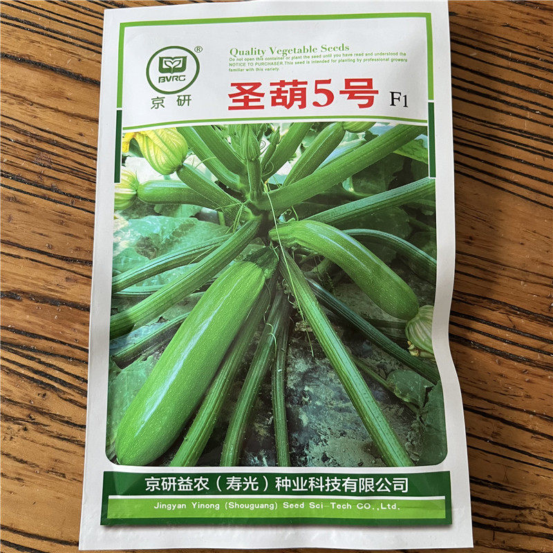 京研圣葫5号西葫芦种子早熟油绿色芦瓜翠玉种子种籽耐寒抗病种孑