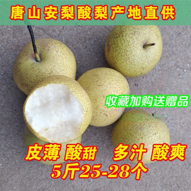 细皮薄皮小酸梨安梨窖藏多汁新鲜老树冻梨孕妇河北唐山遵化特产新