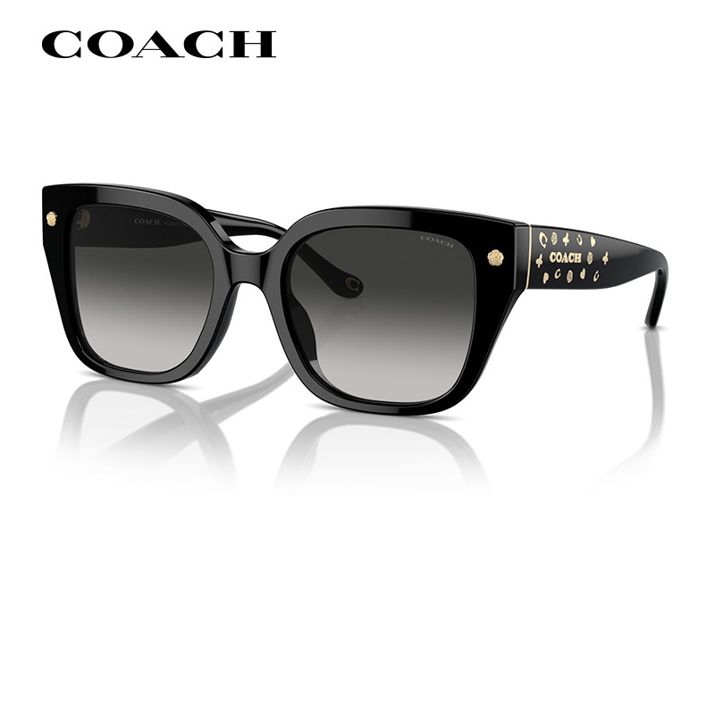 CAOCH蔻驰2025新款复古板材太阳镜女OHC8392黑超大框