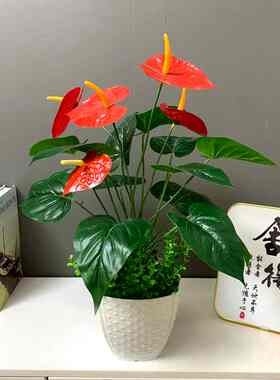 客厅摆件仿真花红掌回馈顾客