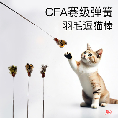 CFA赛级逗猫棒厂家直销新款