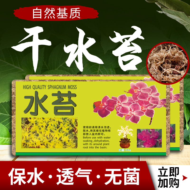 水苔种多肉价格 水苔种多肉图片 星期三 水苔种多肉价格 水苔种多肉图片 星期三