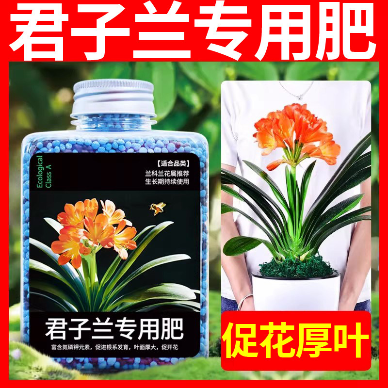 君子兰肥料专用肥兰花蝴蝶兰促进开花家用花肥通用颗粒缓释肥腰肥,鲜花速递/花卉仿真/绿植园艺,家庭园艺肥料,淘宝优惠券,粉丝福利购,淘宝优惠卷