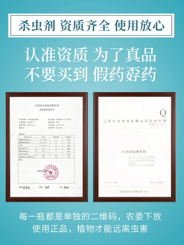 Насеченное цветочное растение Растение Растение Непредлет