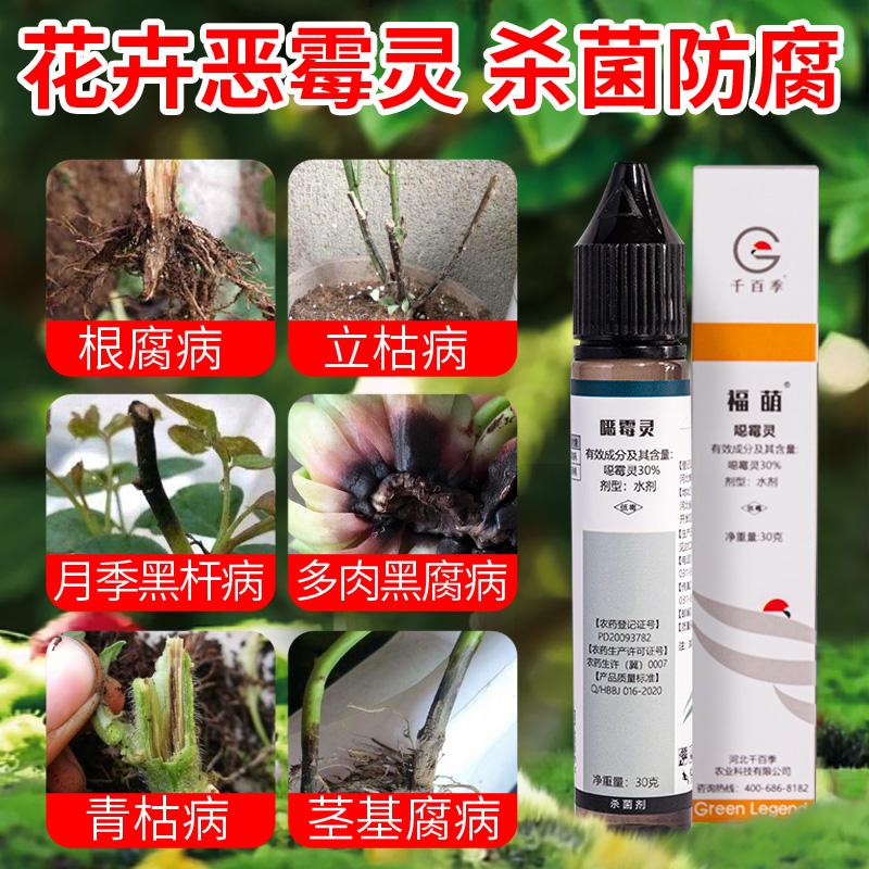 恶霉灵土壤杀菌剂兰花病