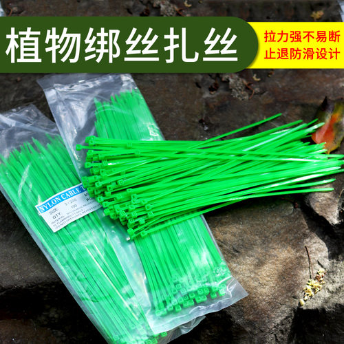 绑扎丝自锁式尼龙扎带