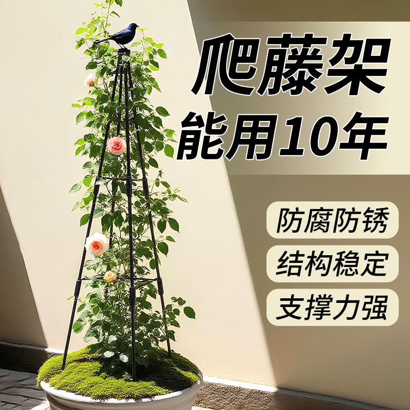 花架爬藤架葡萄植物黄瓜丝瓜山乌龟蔬菜月季阳台花架支架防倒伏杆
