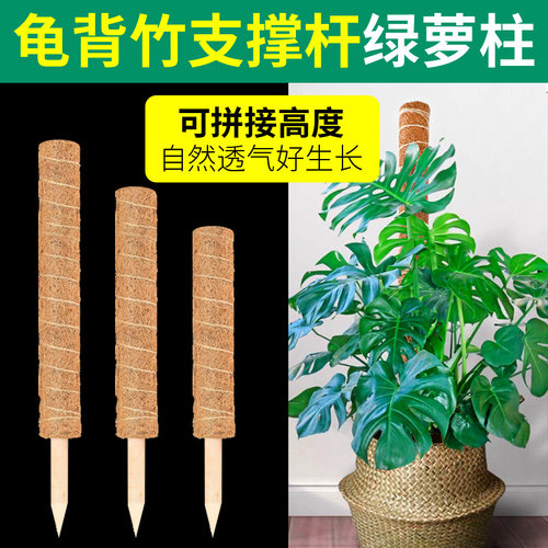 龟背竹支撑杆手工绿萝柱