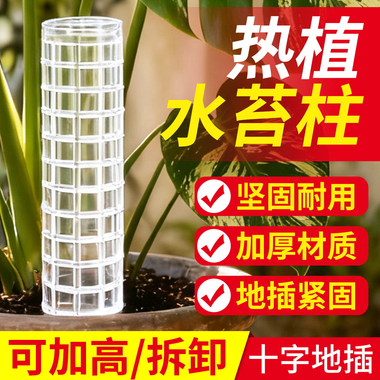 水苔柱蔓绿绒绿萝龟背竹攀爬柱图片