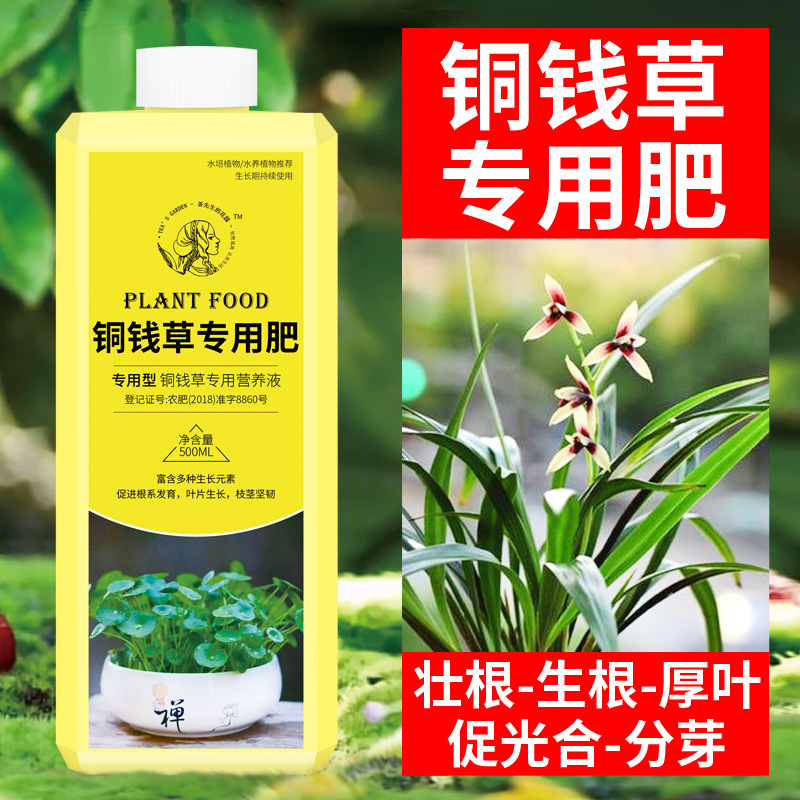 铜钱草专用肥铜钱草营养液水培植物营养液通用型肥料铜钱草怎么养