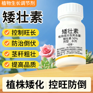 矮壮素花卉专用水仙蔬菜多肉油菜植物控梢调节剂菊花调壮素控旺药