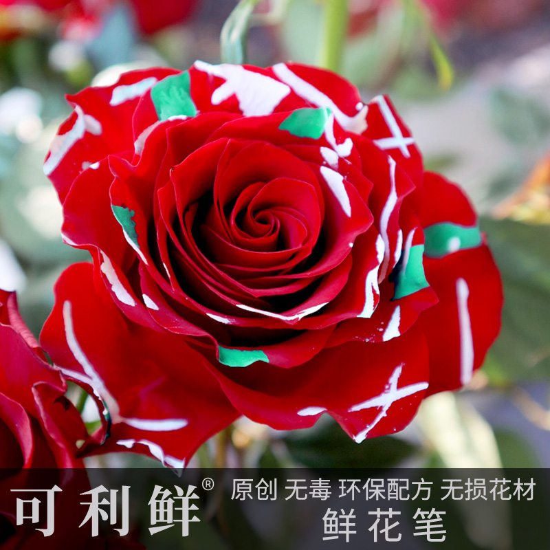 可利鲜花艺颜彩鲜花笔