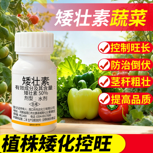 矮壮素花卉专用水仙蔬菜菊花油菜多肉植物控梢调节剂矮胖素防徒长