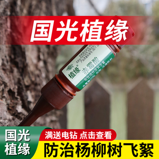 国光植缘杨树飞絮抑制剂赤霉酸素赤酶酸杨柳絮杨絮柳絮飞絮一插净