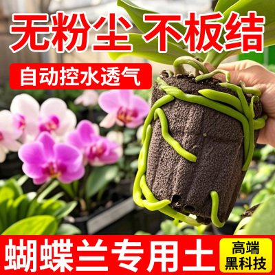 不板结无粉尘的蝴蝶兰专用营养土