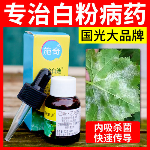 国光白迪农药官方旗舰店