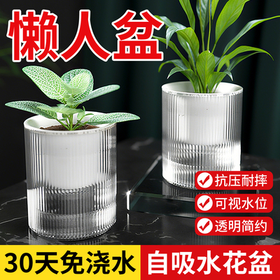 自吸水花卉绿植专用懒人盆