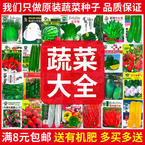 蔬菜种孑四季大全香菜青菜萝卜