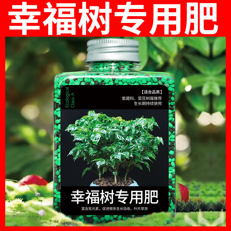 幸福树专用营养液富贵