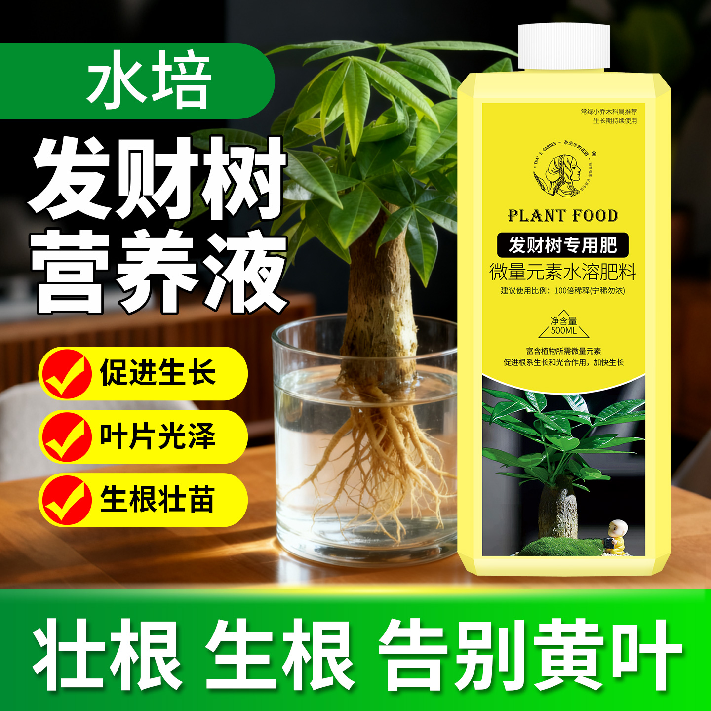 【壮根生根】发财树营养液