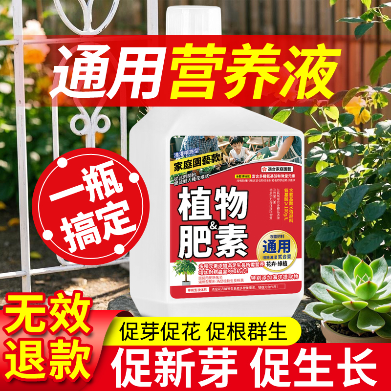 爆芽素多肉-蝴蝶兰-三角梅推荐