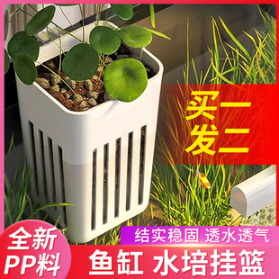 鱼缸水培植物定植篮水草龟缸水竹铜钱草固定挂壁壁挂式加深器皿