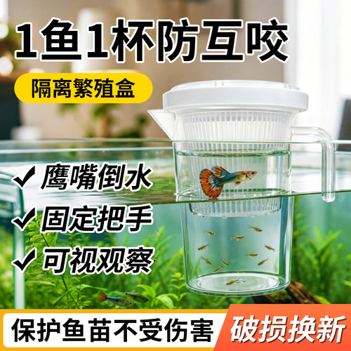 【鱼苗成活率98%】隔离繁殖盒