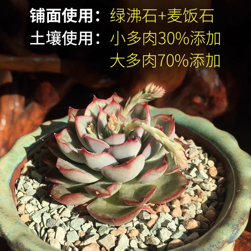 新品铺面石多肉专用铺面石颗粒透气彩虹石绿沸石火山石黄金麦饭石