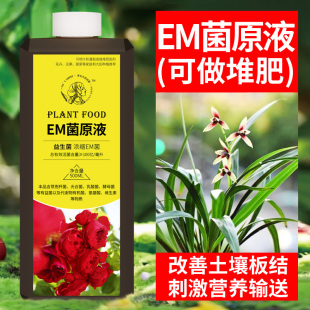 em菌原液种植专用兰花原露微生物菌肥发酵剂花卉用土壤改良剂em