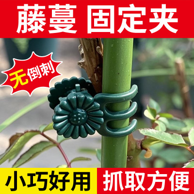 藤蔓固定夹爬藤植物固定夹蝴蝶兰花蔓藤铁线莲固定夹塑料园艺夹子