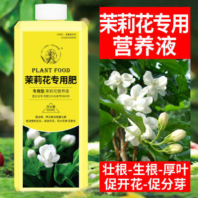 茉莉花肥料专用肥花肥营养液