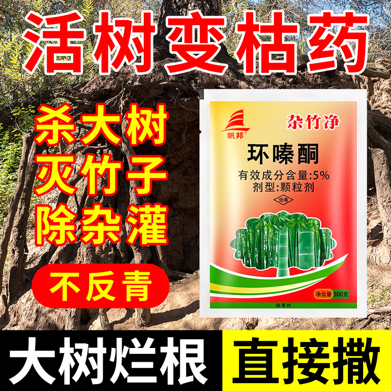 除草剂正品环嗪酮环嗪哃烂根除专用药杀根药死强力除草烂根剂大树