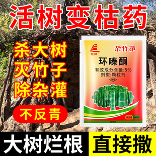 除草剂正品环嗪酮环嗪哃烂根除专用药杀根药死强力除草烂根剂大树