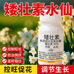 水仙矮壮素花卉专用壮矮素矮壮剂植物矮化素控旺调壮素控梢调节剂