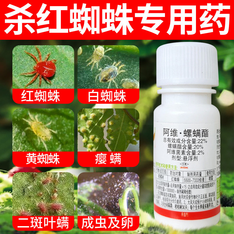 红蜘蛛杀虫药螺螨酯阿维菌素
