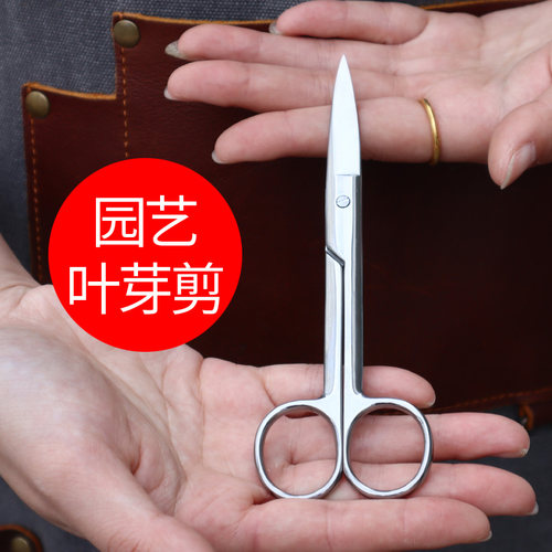 花艺盆景修剪造型专用工具叶芽剪