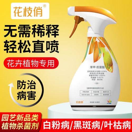 花枝俏杀菌剂多菌菌灵花卉多茵灵