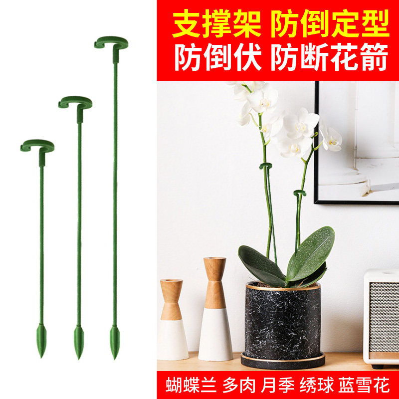 蝴蝶兰支架植物支撑杆园艺支架多肉固定花支架防倒蝴蝶兰专用花架,鲜花速递/花卉仿真/绿植园艺,花架,淘宝优惠券,粉丝福利购,淘宝优惠卷