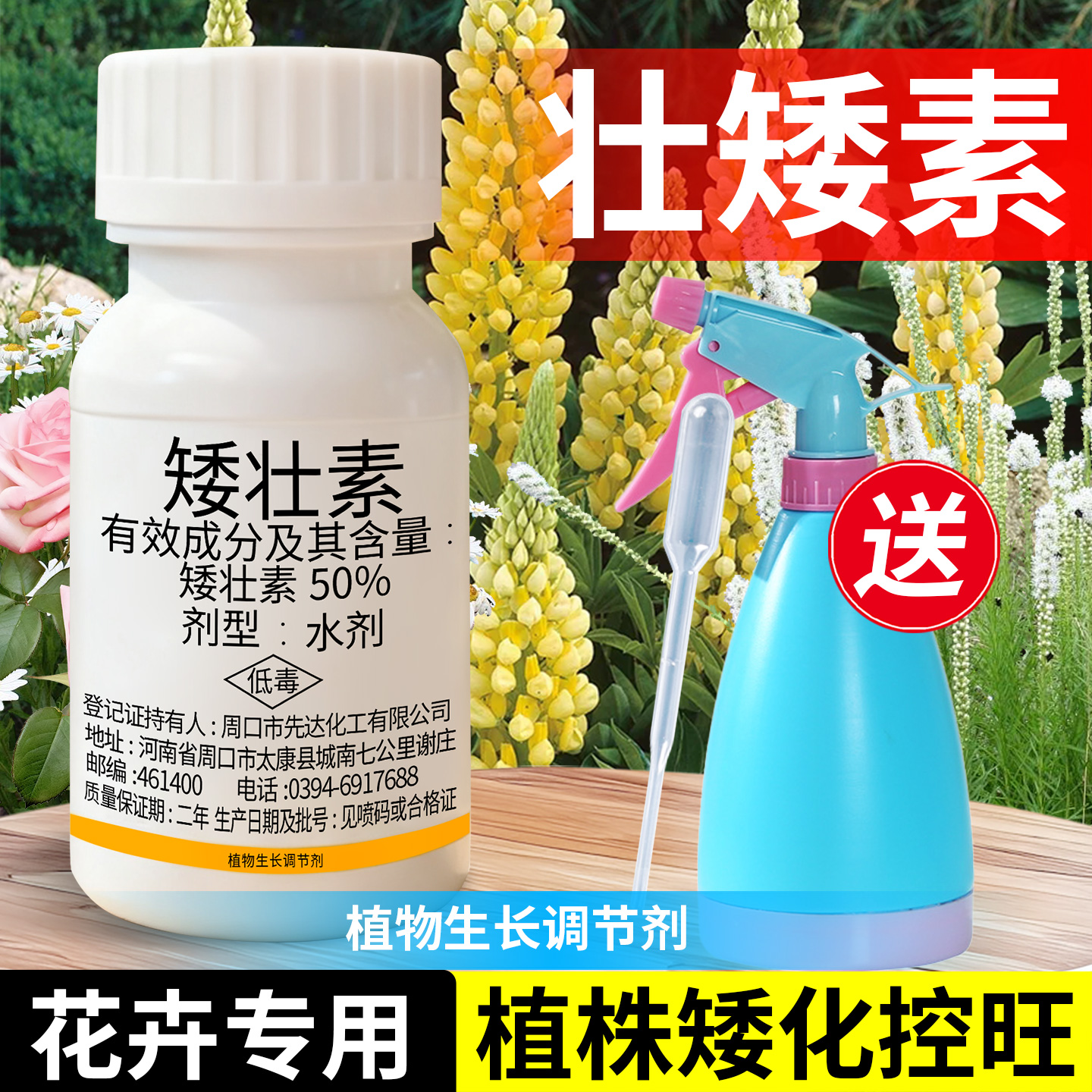 【3天矮壮】花卉专用矮壮素