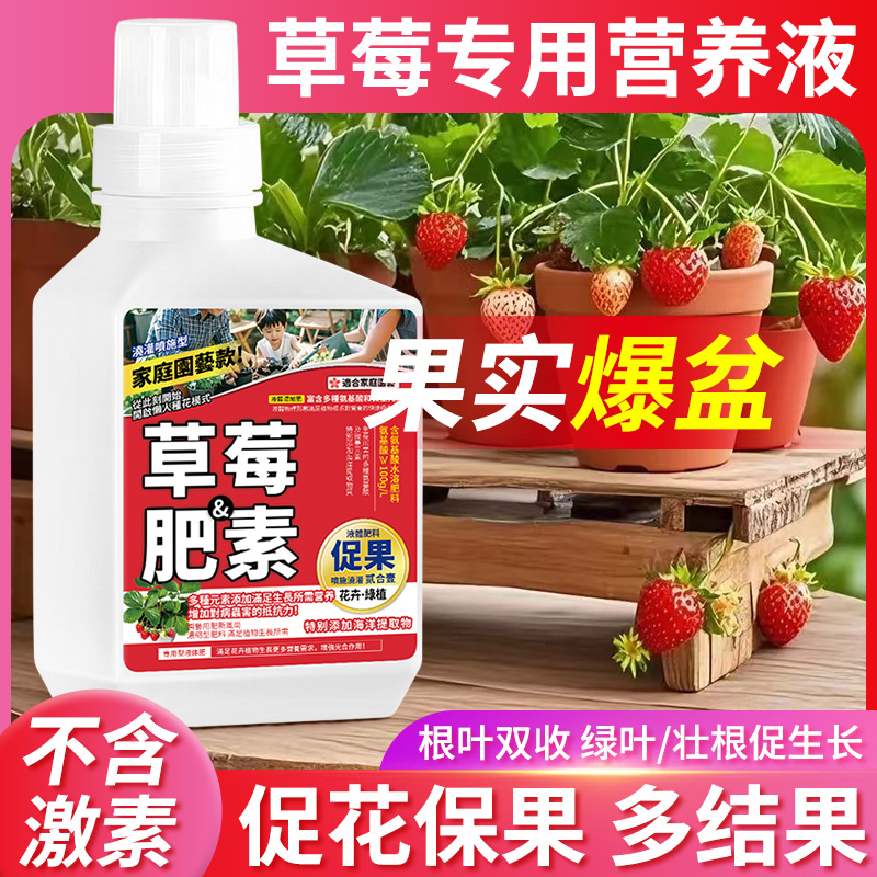 草莓专用肥家用室内蓝莓桑葚嘉宝果盆栽番茄西红柿水溶肥料营养液