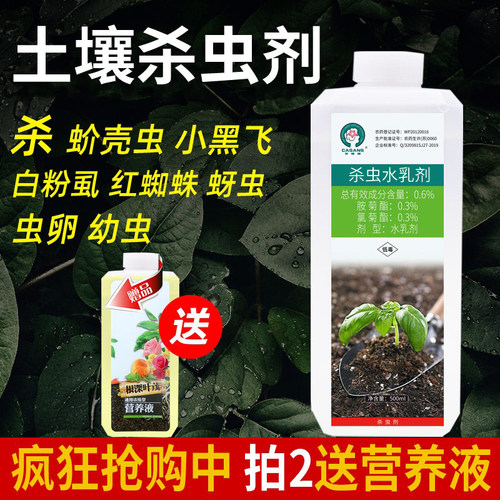 土壤杀虫剂花卉植物小黑专用
