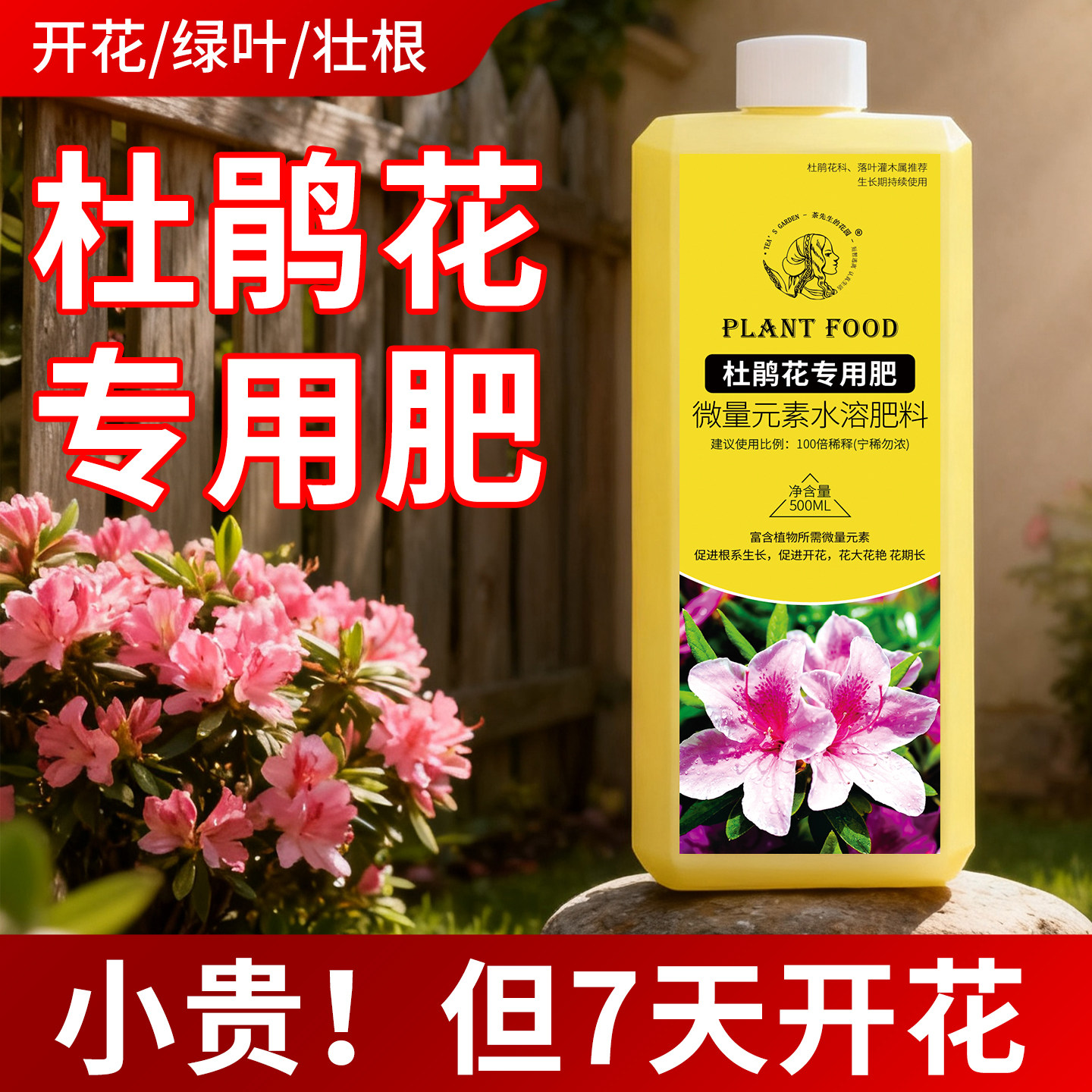 杜鹃花专用肥营养液促开花室内盆栽植物营养液养花肥料土壤调酸剂,鲜花速递/花卉仿真/绿植园艺,家庭园艺肥料,淘宝优惠券,粉丝福利购,淘宝优惠卷