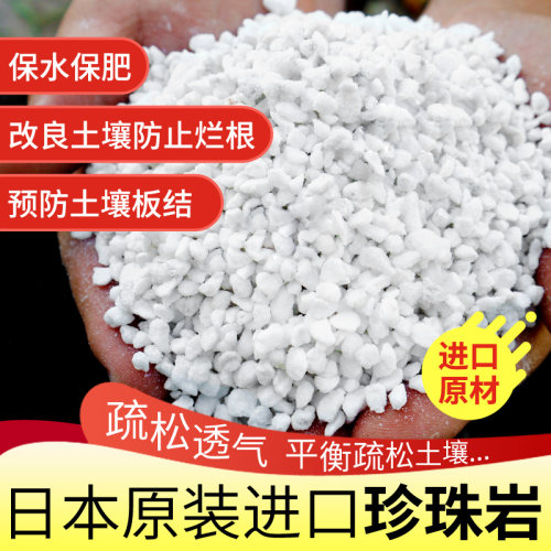 进口珍珠岩颗粒硬质养花专用