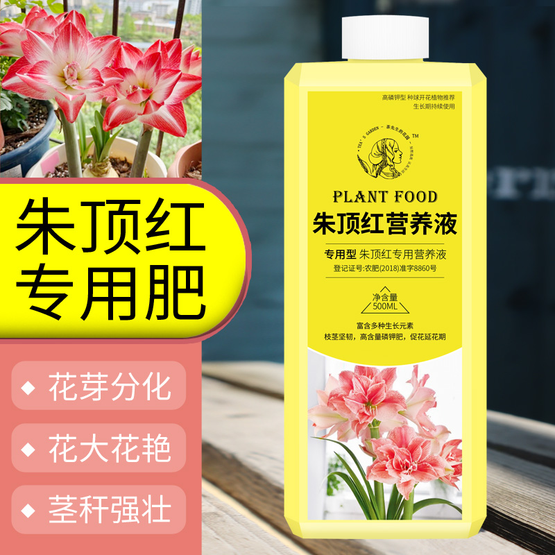 朱顶红专用肥郁金香营养液