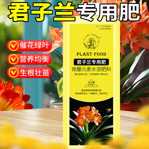【促绿叶爆开花】君子兰专用肥