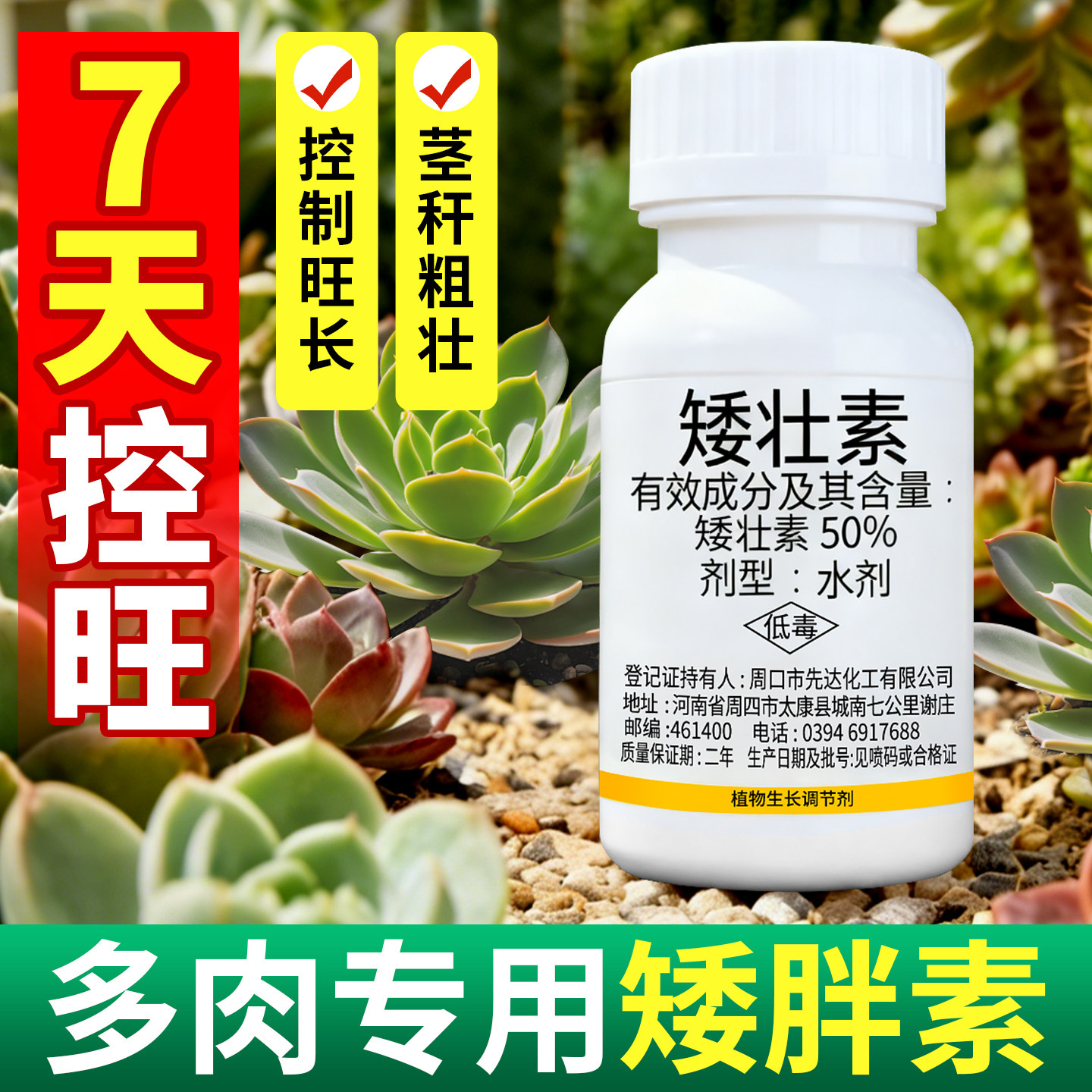 【7天控旺】多肉专用矮胖素