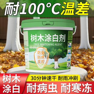 树木涂白剂防冻树干专用涂白剂白石灰防虫抗冻耐寒绿植大树涂白剂